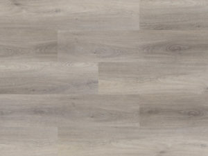 Bologna Oak