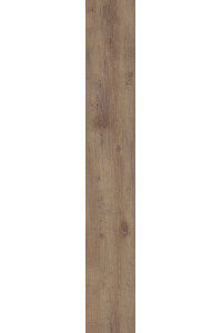 SOLIDCORE XTREME 5 5MM CLICK 61008 OAK HASEL
