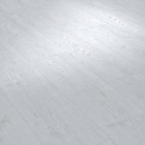 Sapporo Oak